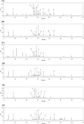 Exploring phytochemicals and pharmacological properties of Populus × tomentiglandulosa